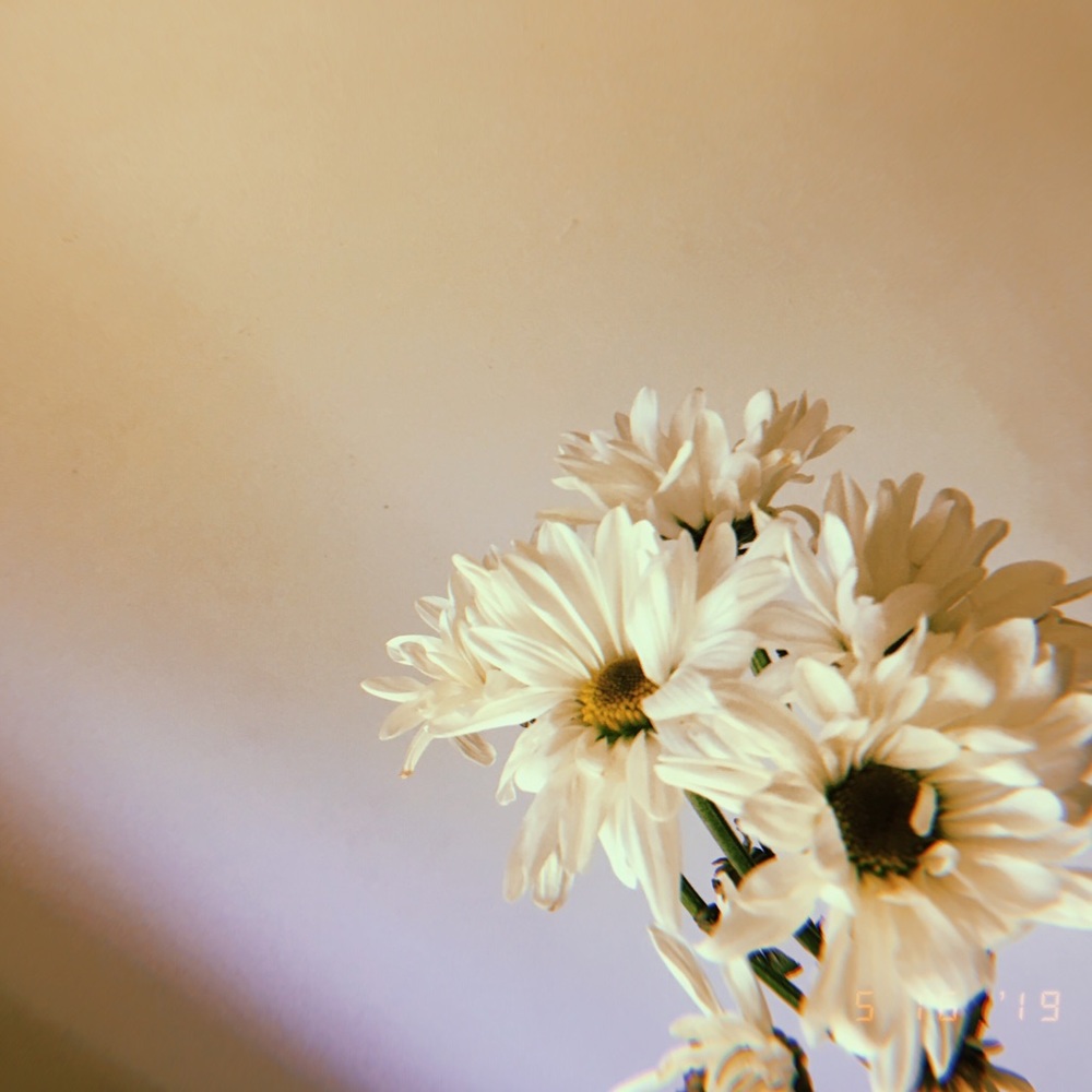 Meet your Posher, Jess